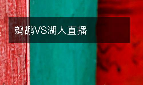 鵜鶘VS湖人直播